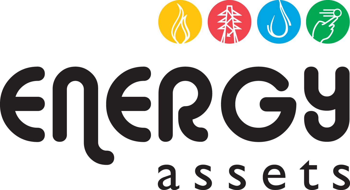 Energy Assets Networks